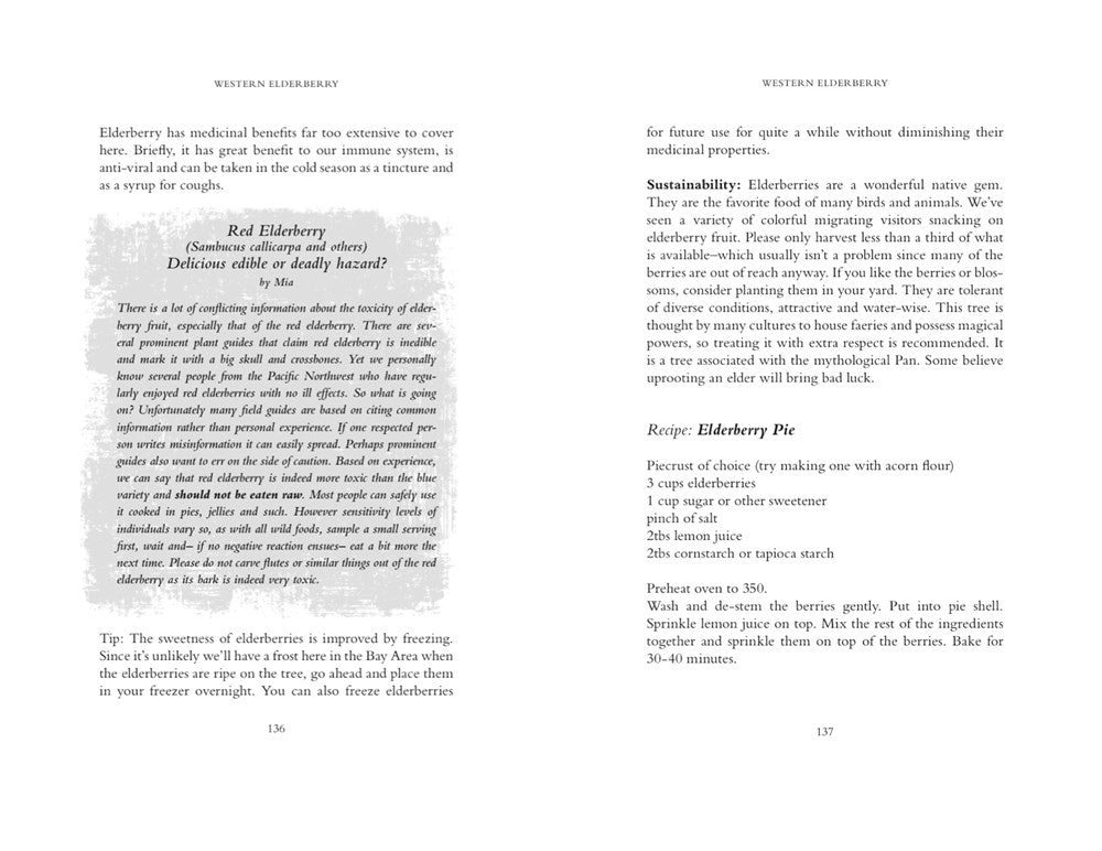 The Bay Area Forager