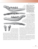 The Princeton Field Guide to Prehistoric Mammals
