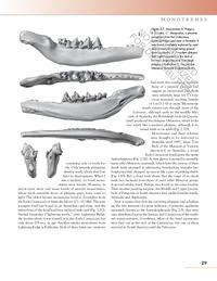 The Princeton Field Guide to Prehistoric Mammals
