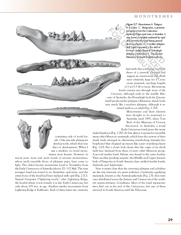 The Princeton Field Guide to Prehistoric Mammals