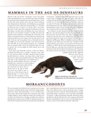 The Princeton Field Guide to Prehistoric Mammals