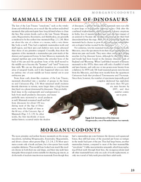 The Princeton Field Guide to Prehistoric Mammals