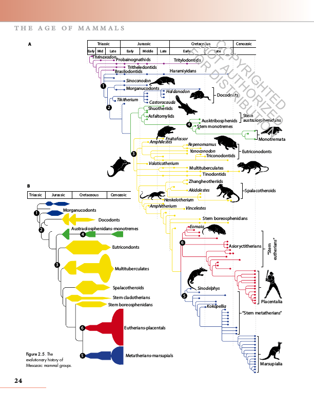 The Princeton Field Guide to Prehistoric Mammals