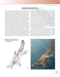 The Princeton Field Guide to Prehistoric Mammals