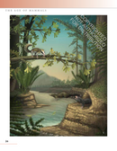 The Princeton Field Guide to Prehistoric Mammals