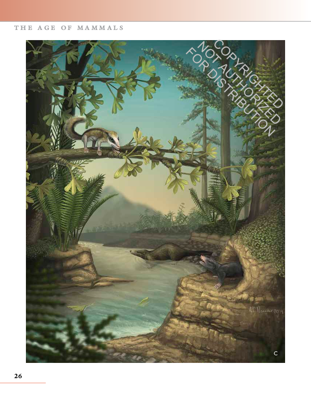 The Princeton Field Guide to Prehistoric Mammals