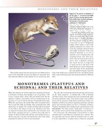 The Princeton Field Guide to Prehistoric Mammals