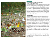 A Swift Guide to Butterflies of Mexico and Central America