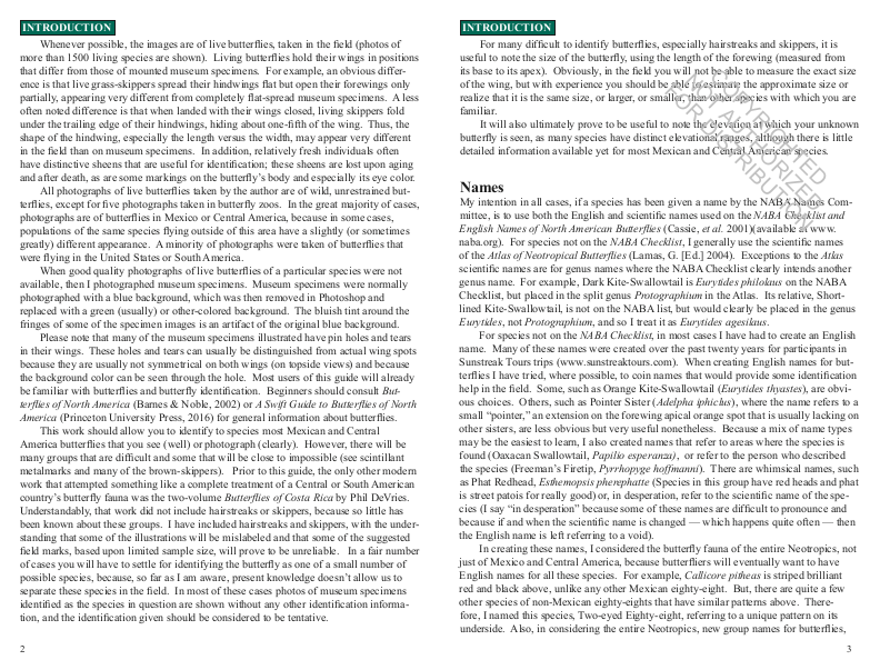 A Swift Guide to Butterflies of Mexico and Central America