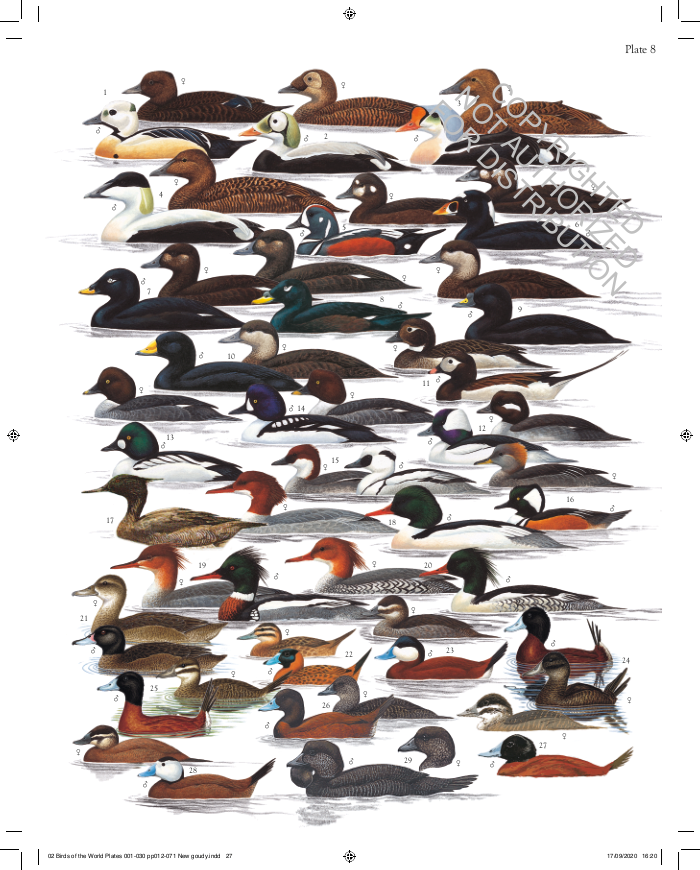 The Complete Birds of the World
