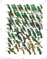 The Complete Birds of the World