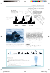 Handbook of Whales, Dolphins, and Porpoises of the World