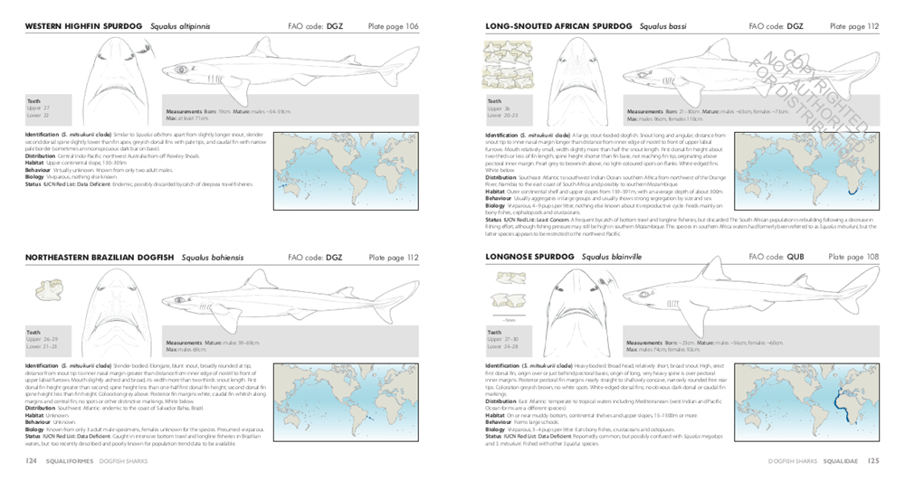 Sharks of the World