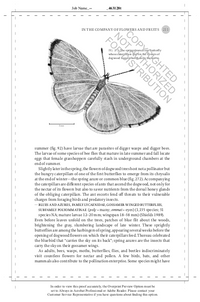 The Hidden Company That Trees Keep