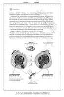 The Hidden Company That Trees Keep