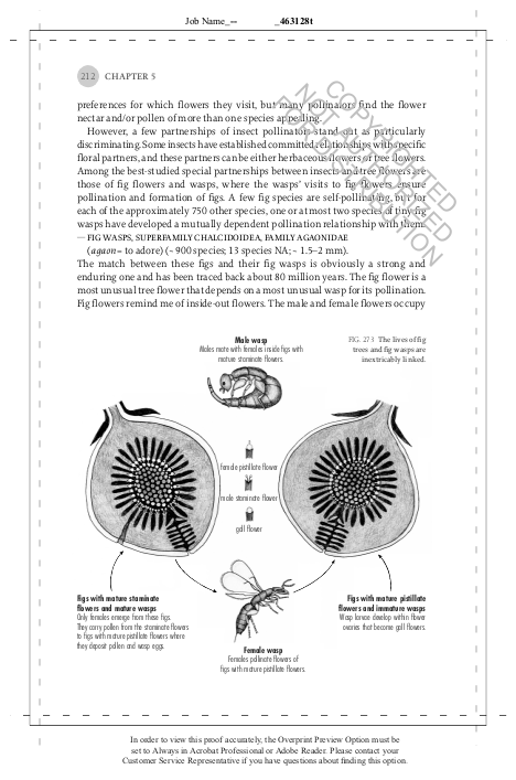 The Hidden Company That Trees Keep