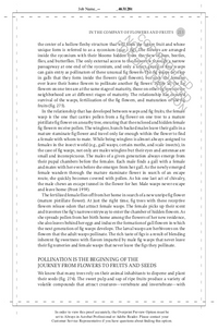 The Hidden Company That Trees Keep