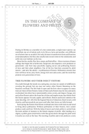 The Hidden Company That Trees Keep