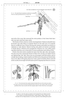 The Hidden Company That Trees Keep