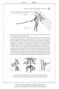The Hidden Company That Trees Keep