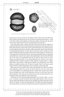 The Hidden Company That Trees Keep