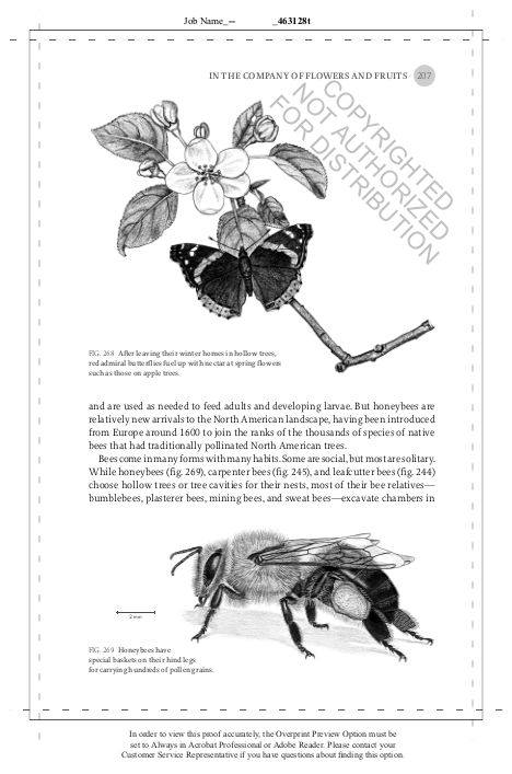 The Hidden Company That Trees Keep