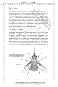 The Hidden Company That Trees Keep