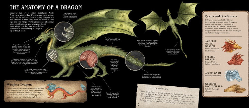 A Natural History of Dragons (Folklore Field Guides)