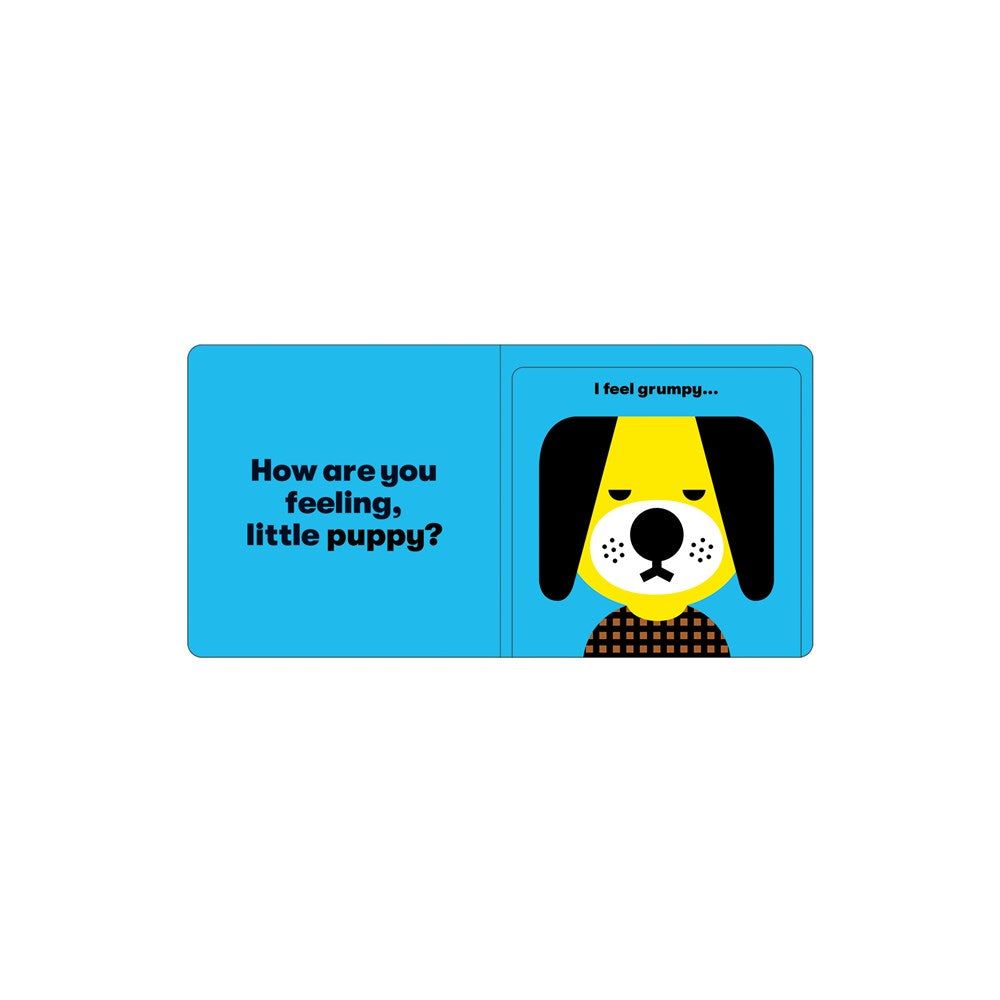 How Are You Feeling Board Book