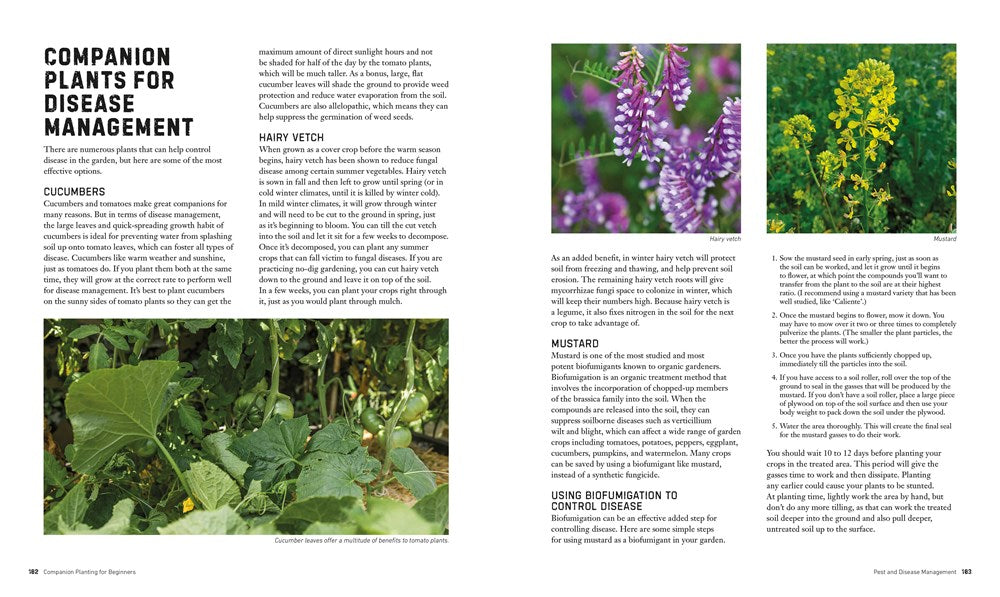 Companion Planting for Beginners: Pair Your Plants for a Bountiful, Chemical-Free Vegetable Garden