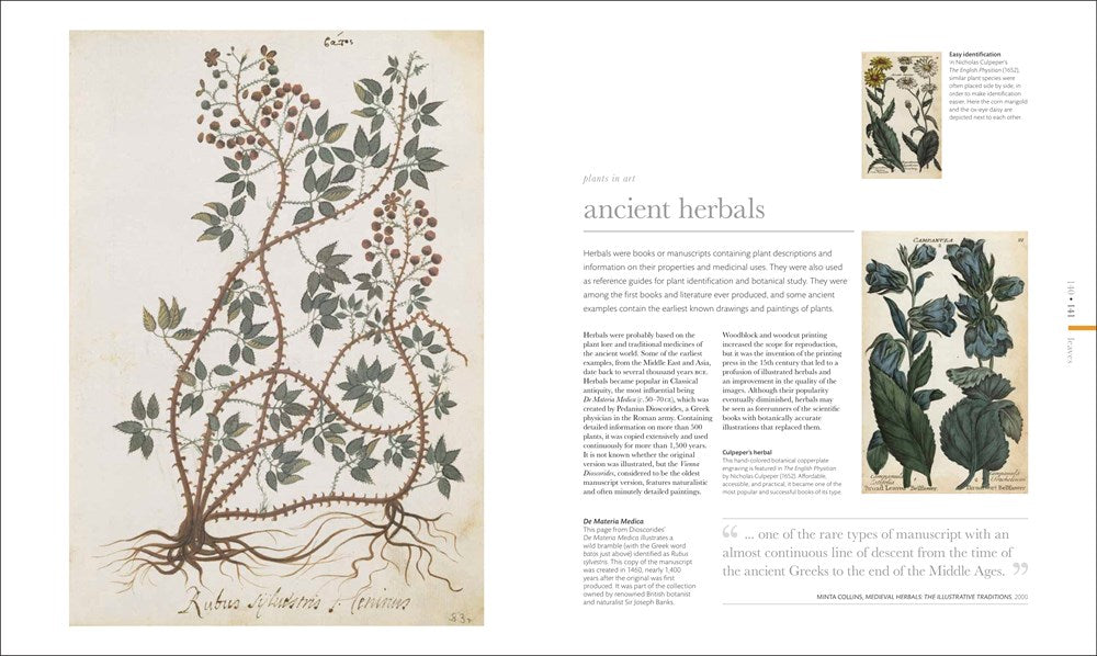 The Science of Plants: Inside Their Secret World (DK Secret World Encyclopedias)