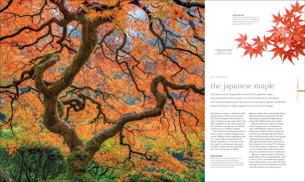 The Science of Plants: Inside Their Secret World (DK Secret World Encyclopedias)