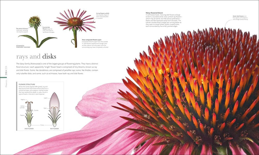 The Science of Plants: Inside Their Secret World (DK Secret World Encyclopedias)