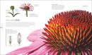 The Science of Plants: Inside Their Secret World (DK Secret World Encyclopedias)