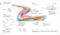 Science of Pilates: Understand the Anatomy and Physiology to Perfect Your Practice