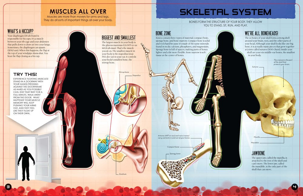 Inside Out Human Body