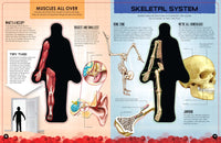 Inside Out Human Body