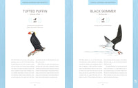 Bird Songs: 250 North American Birds in Song