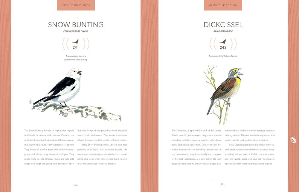 Bird Songs: 250 North American Birds in Song