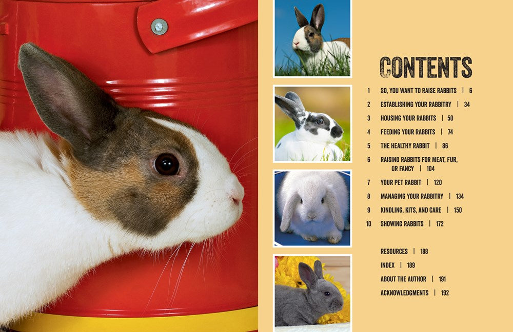 How to Raise Rabbits