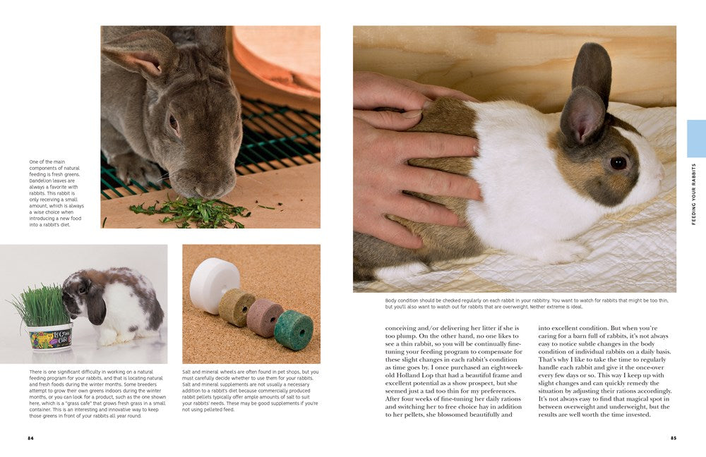 How to Raise Rabbits