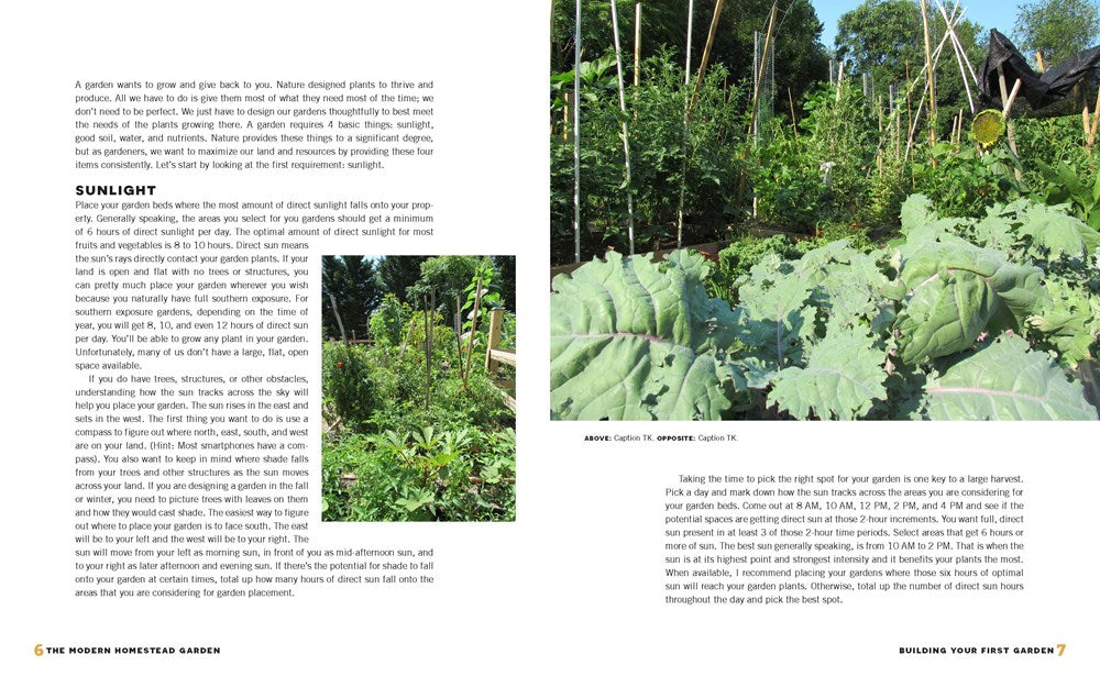 The Modern Homestead Garden