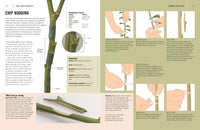 The Plant Propagator's Bible