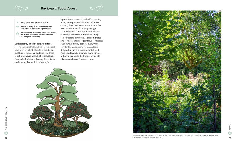 The Regenerative Garden