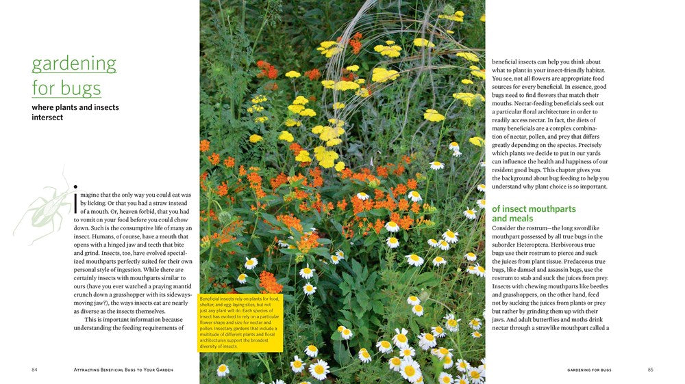 Attracting Beneficial Bugs to Your Garden, Revised and Updated Second Edition