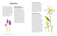 Drawing and Painting Beautiful Flowers