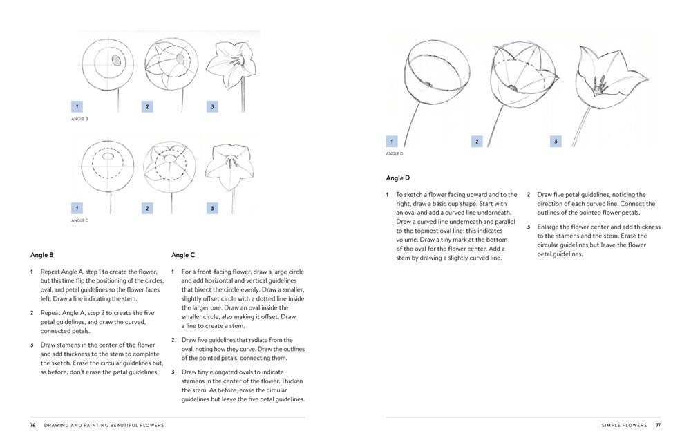 Drawing and Painting Beautiful Flowers
