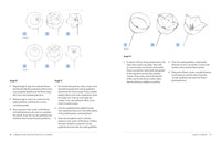 Drawing and Painting Beautiful Flowers