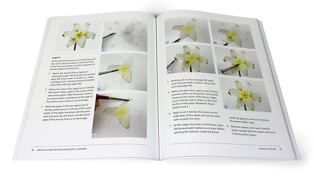 Drawing and Painting Beautiful Flowers