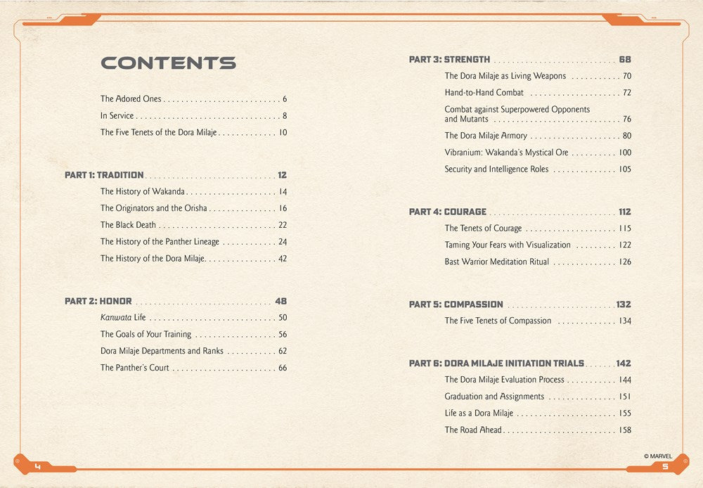 Black Panther: Protectors of Wakanda